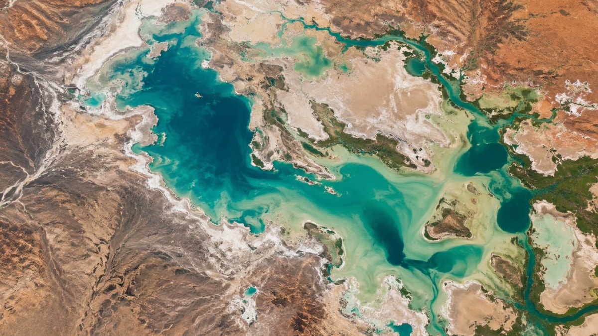 Çölün Ortasında İnanılmaz Değişim! Kurak Topraklar Suya Doydu, Her Yer Yeşile Büründü!