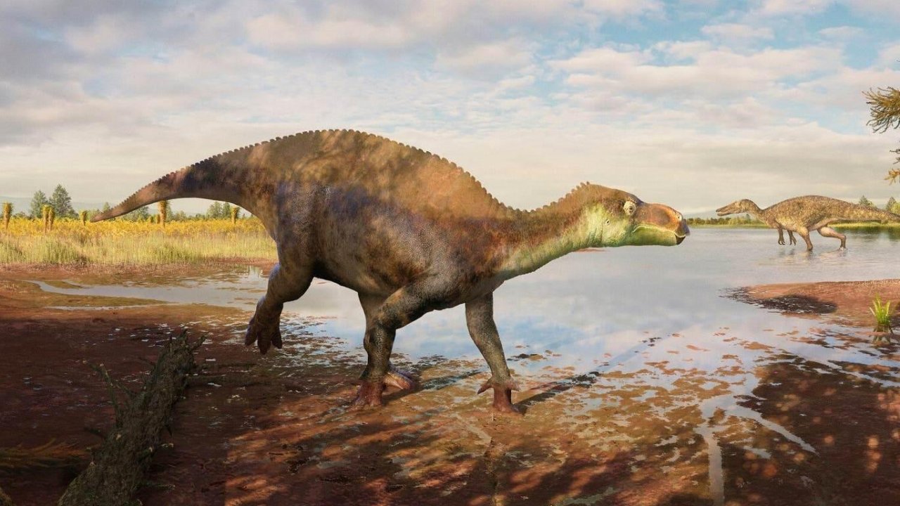 125 Milyon Yıl Önce Bataklıklarda Yaşayan Yeni Dinozor Türü Keşfedildi!