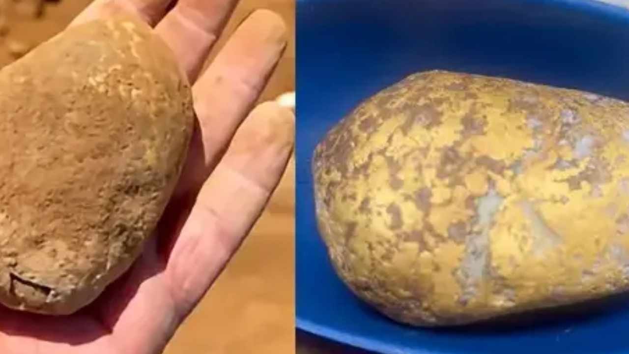 Çürük patates sandı, servet buldu! Topraktan çıkan altının değeri 10 milyon lira