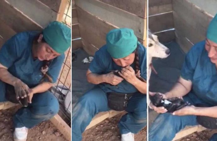 Dört yavru köpeği kalp masajıyla hayata döndürdü