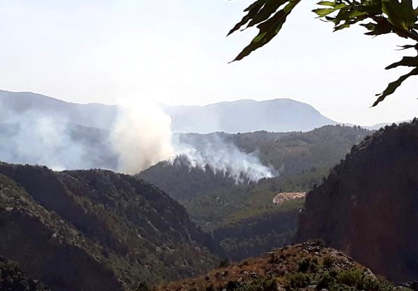 Antalya'da orman yangını