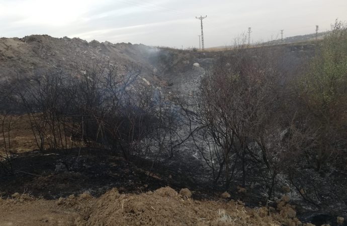Tekirdağ Malkara'da anız yangını çıktı, 2 bin dönüm arazi zarar gördü