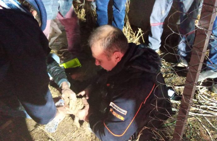 Kuyuya düşen yavru köpek kurtarıldı