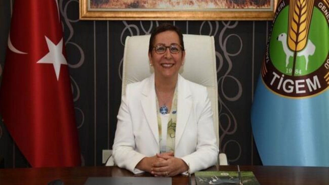 Ayşe Ayşin Işıkgece kimdir?