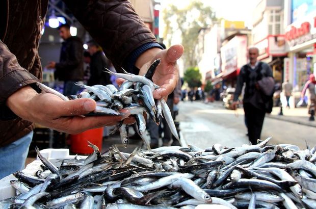 Avlanma yasağı getirilmişti: Hamsinin kilosu 40 liraya yükseldi