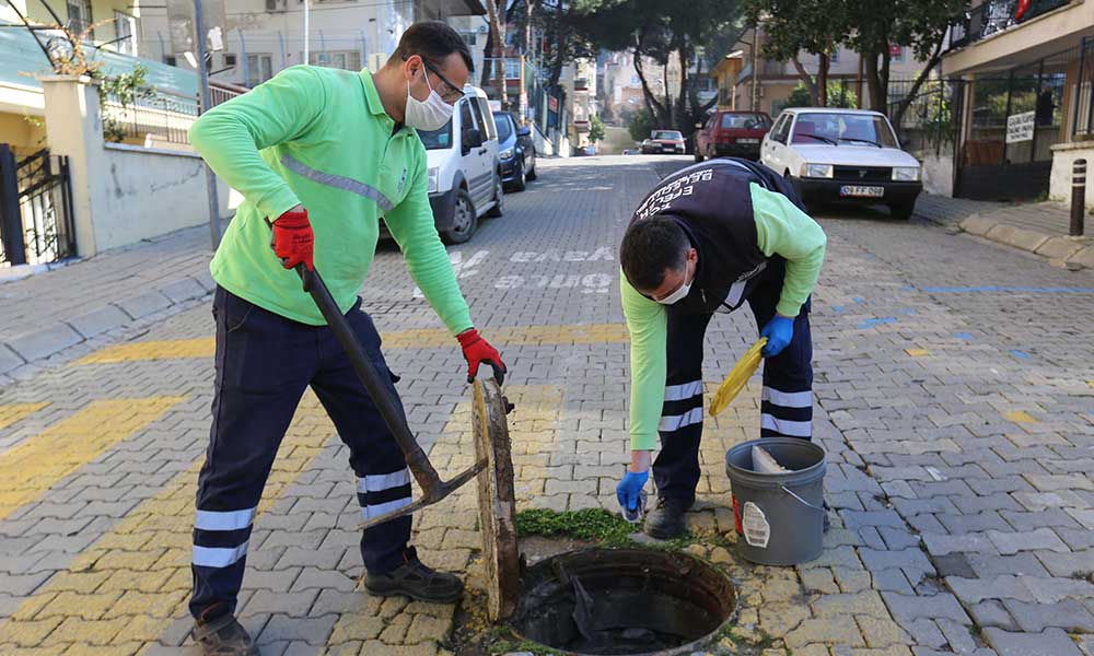 Belediye haşerelere karşı ilaçlama başlattı
