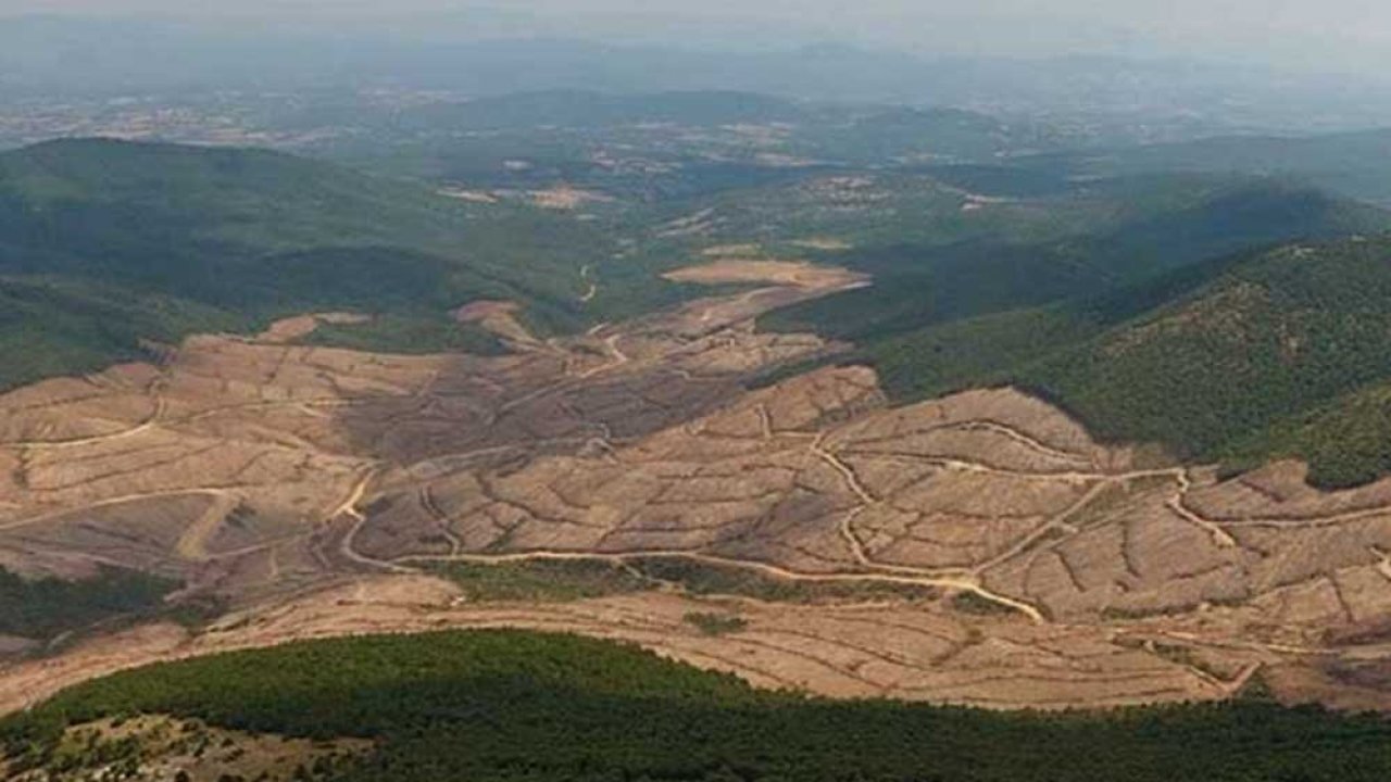 Direnenler kazandı: Kanadalı şirket Kazdağları’nı terk ediyor!