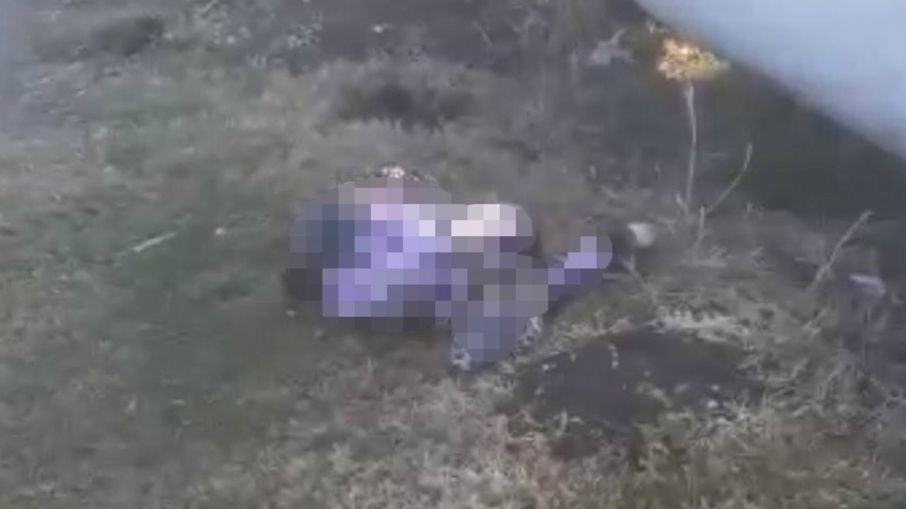 Hamile kadın yol kenarında ölü bulundu, kardeşi gözaltında