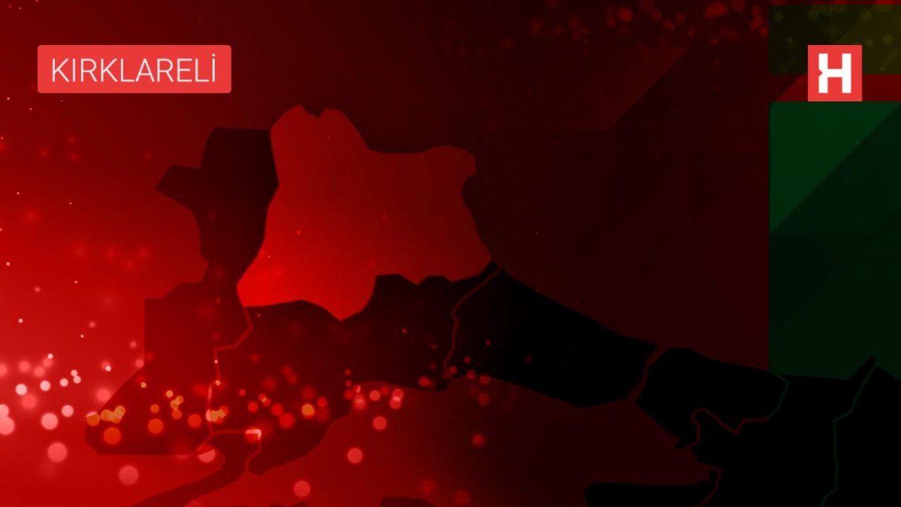 Kırklareli'nde 7 sığınmacı yakalandı