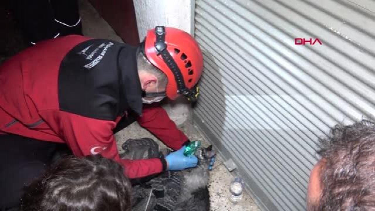 Yangında mahsur kalan vatandaş ile kedisi kurtarıldı