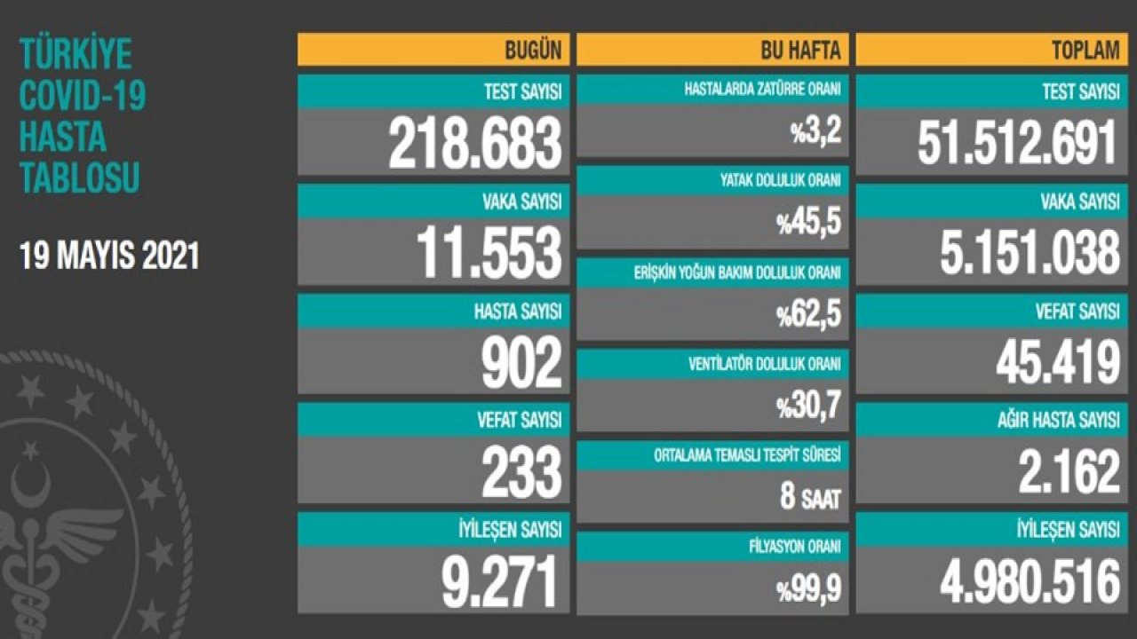 19 Mayıs koronavirüs tablosu. 233 kişi hayatını kaybetti