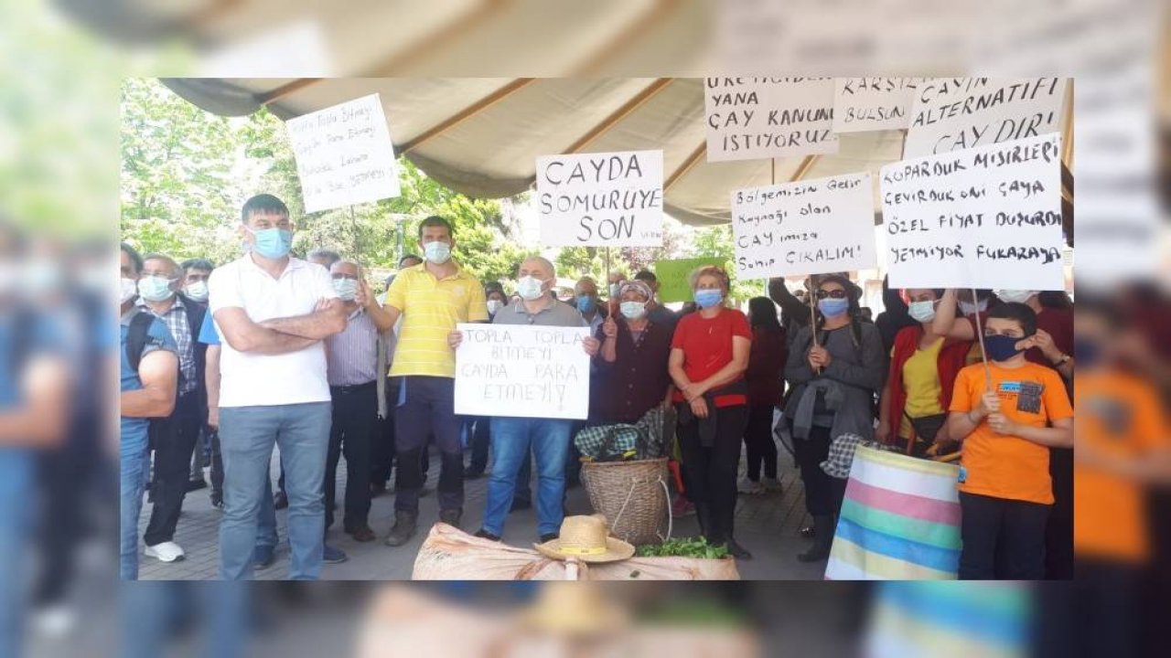 Çay üreticileri eylemde: Servetiniz bizden çaldıklarınızdır