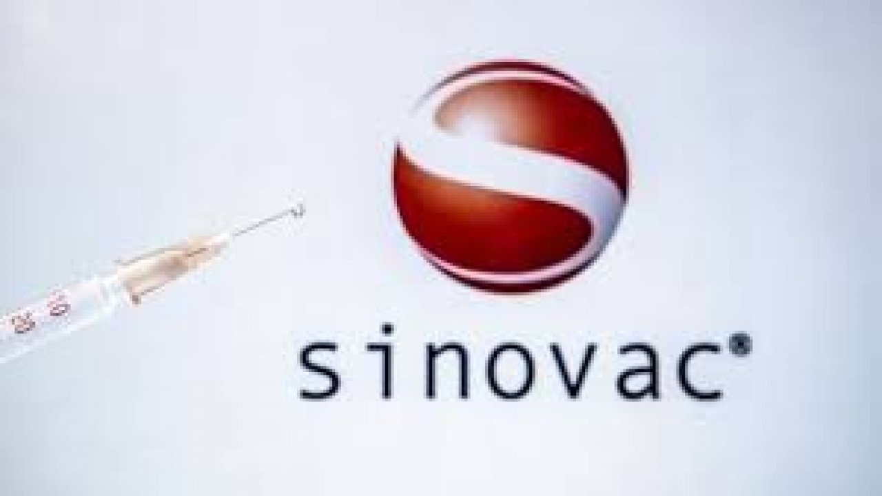 Flaş! DSÖ'den Sinovac aşısına vize