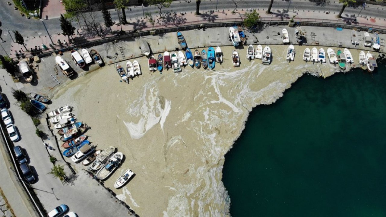 Meclis’te deniz salyası alarmı;