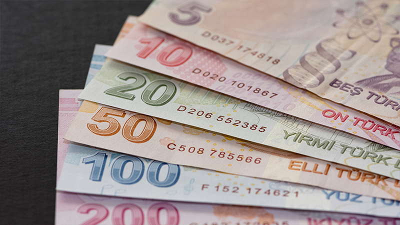 Türk Lirası, en çok değer kaybeden gelişmiş ülke para birimi oldu