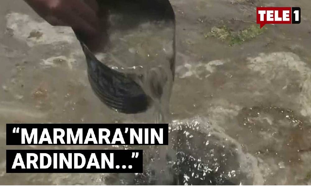 Balıklar yüzeye vurdu