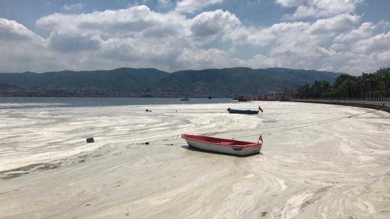 Prof. Dr. Tecer: Deniz salyasını laboratuvar ortamında parçalayıp, etkisiz hale getirmeyi başardık