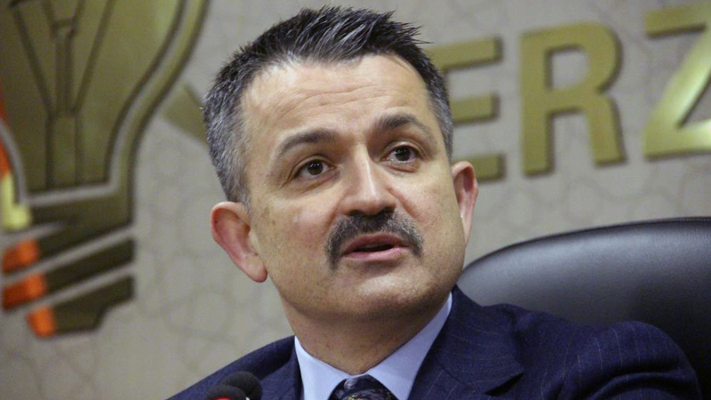 Bakan Pakemirli açıkladı: Deniz salyasından etkilenen küçük balıkçılara verilen destek artırıldı