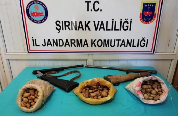 Şırnak’ta salep soğanı toplayanlara 204 bin lira ceza!