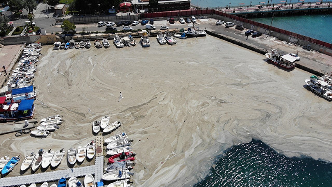 İTÜ'den Marmara Denizi’ni tehdit eden müsilaj için 10 maddelik çözüm önerisi