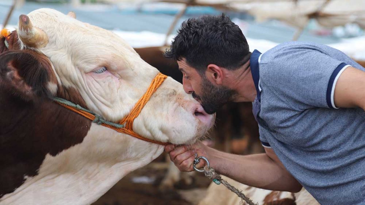Kartal Belediyesi Kurban Bayramı hazırlıklarını tamamladı