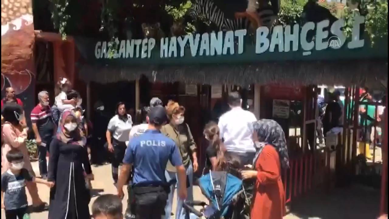 Gaziantep'te hayvanat bahçesinde esaretten kaçmaya çalışan aslan katledildi