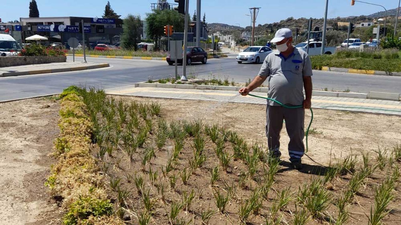 Bodrum Belediyesi’nden suda yüzde 80 tasarruf
