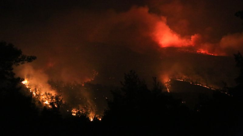 Bodrum'da yangın devam ediyor; Yukarı Mazı köyü için tahliye kararı verildi