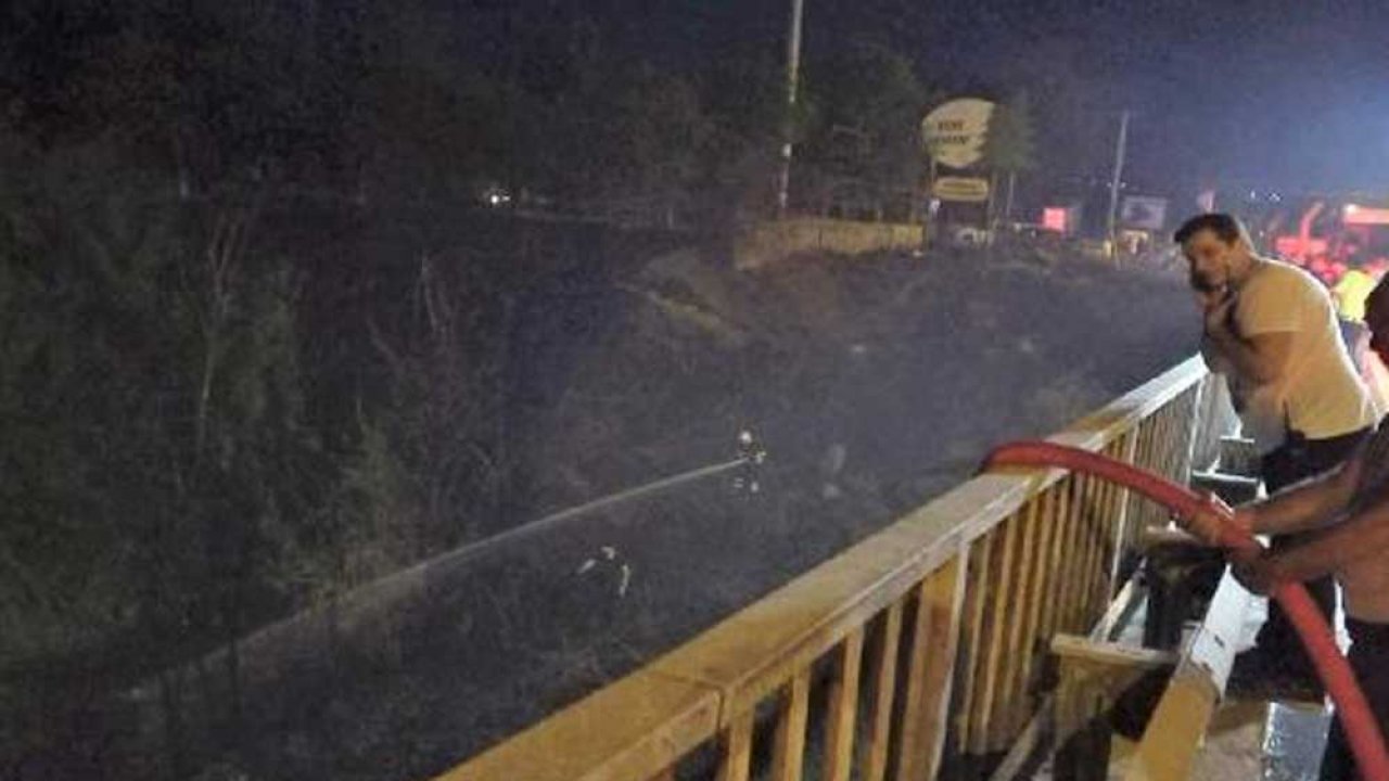 Diyarbakır Kent Ormanı’nda otları yaktığı iddia edilen 4 çocuk tutuklandı