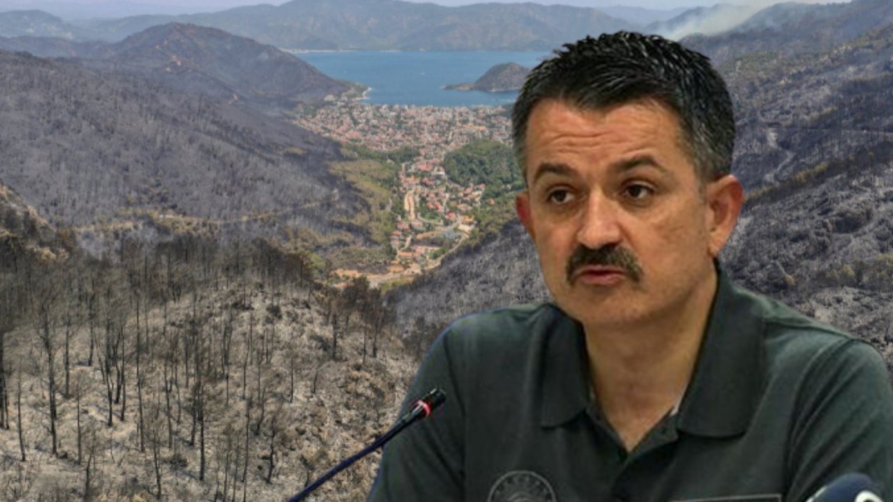 Necati Doğru, Yunanistan’ı örnek gösterdi: Orman yangını alevlerinden fırınlanarak çıkan “utanma duygusu” bize