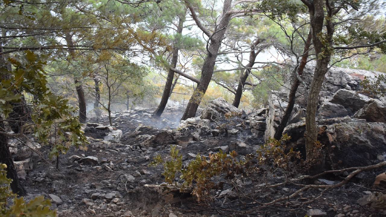 Kazdağları'nda çıkan yangın bölgesinde 50 hektar alan zarar gördü