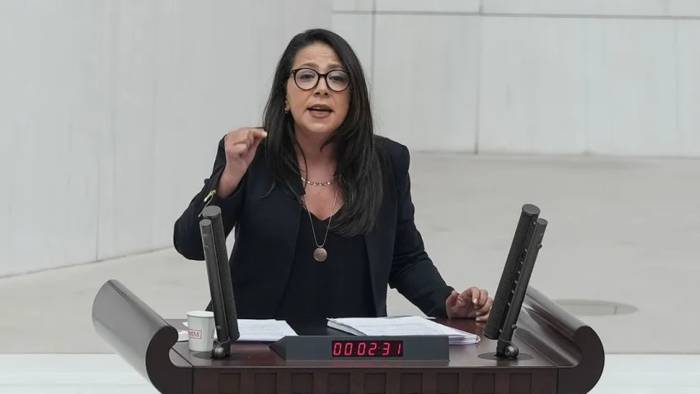 Sera Kadıgil hakkında cumhurbaşkanına hakaretten soruşturma başlatıldı