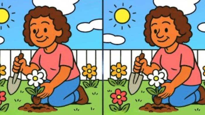 Zekanızı Test Edin! Bahçedeki İki Kadın Arasındaki 3 Farkı Bulabilir misiniz?