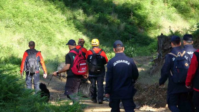 Kazdağları’nda Kayıp Alarmı! Bürokratı Bulmak İçin Orman Didik Didik Ediliyor