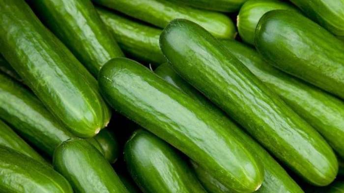 ABD'de Salmonella Alarmı: Fuentes Farms'ın Salatalıkları Geri Çağrıldı!