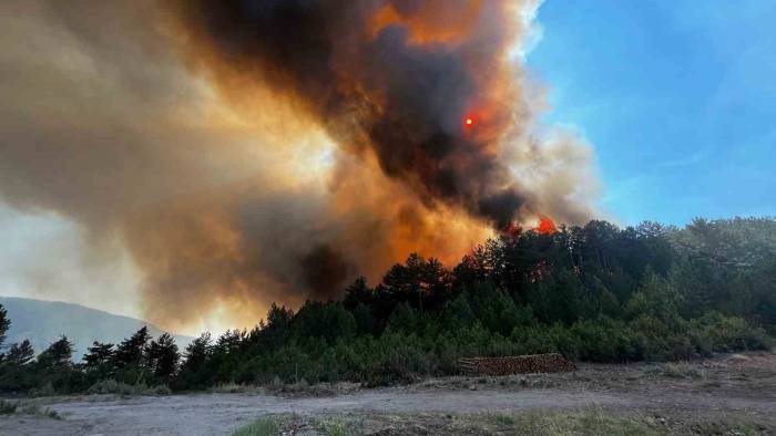 Balıkesir Sındırgı’da orman yangını: Jandarma helikopteri de devrede!