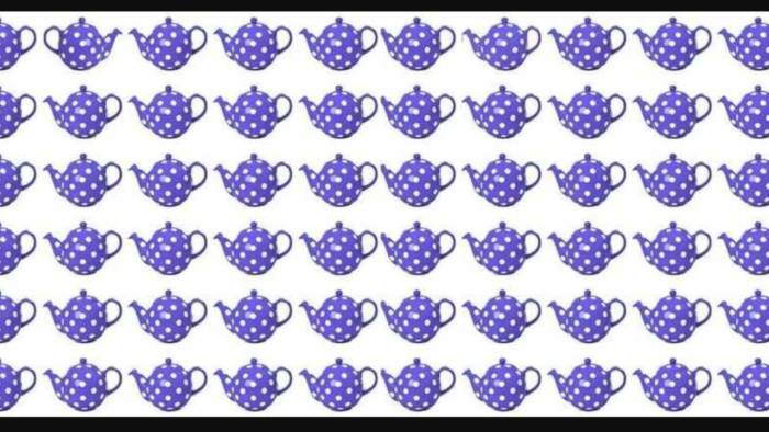 40 Yıllık Çay Ustaları Bile Göremedi! Bu Resimdeki Farklı Demliği Sadece Dâhiler Fark Ediyor