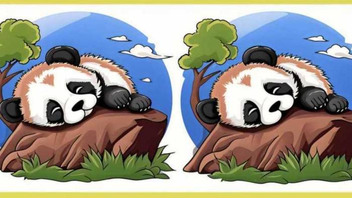 Gerçek Dâhiler Bu Testi Geçebiliyor! Uyuyan 2 Panda Arasındaki 3 Farkı 12 Saniyede Bulabilir misin?