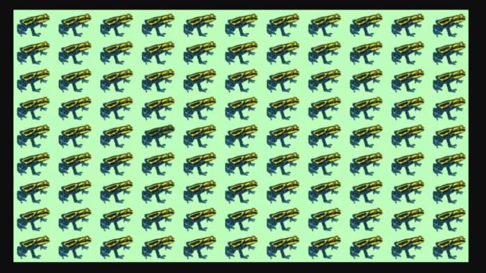 Sadece Gerçek Dahiler Başarabiliyor! Farklı Kurbağayı 6 Saniyede Bulmak İçin En Az 130 IQ Gerek!