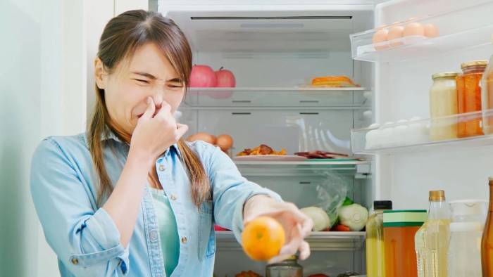 Yiyecekleri Doğru Saklama Yöntemleri: Buzdolabı Kullanımında Dikkat Edilmesi Gerekenler