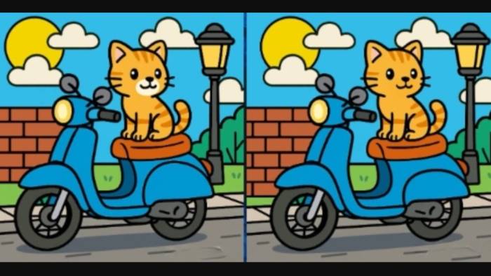 Motosiklet Üzerindeki İki Kedi Arasındaki 3 Farkı Yalnızca Yüksek IQ Sahipleri Görebiliyor!