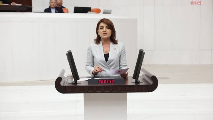 CHP'li Gülcan Kış'tan Hazineye Borçlanma Sorusu: 