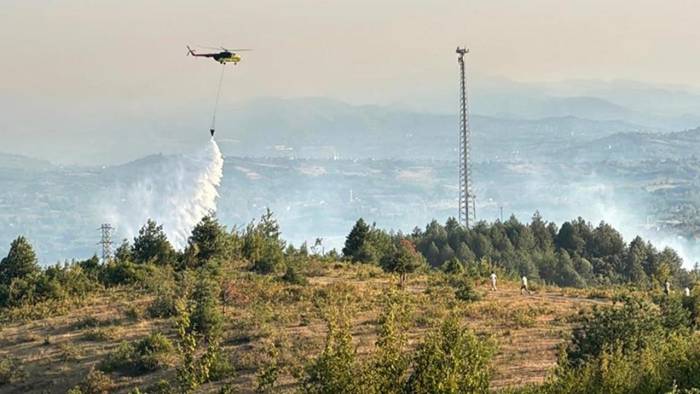 Küre Dağları Milli Parkı'nda Orman Yangını Kontrol Altına Alındı