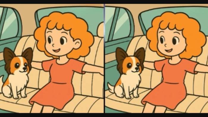 Arabada Köpeğiyle Eğlenen İki Kadın Arasındaki 3 Farkı Sadece Dahiler 14 Saniyede Buluyor