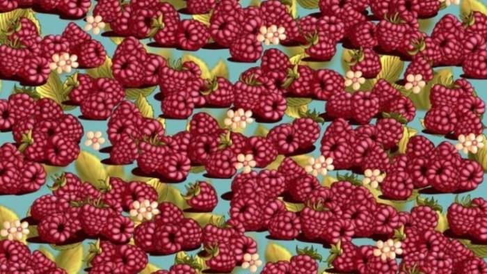 Gerçek Dahiler Çözüyor: Saklı Çileği 5 Saniyede Görenlerin IQ’su 130+