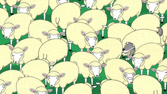 Gerçek dâhiler anında buluyor! Saklı kurdu 130 IQ ile görebilecek misiniz?