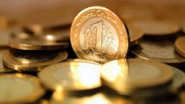 Piyasada 1 TL basmanın maliyeti 4,5 tl’ye ulaştı