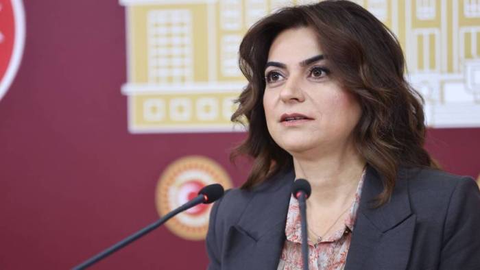 DEM Parti’den İmralı açıklaması: ‘Ziyareti komisyona aktaracağız’
