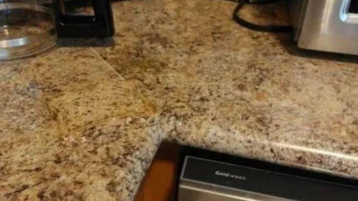 Resimde saklı tostu 5 saniyede bulmak için en az 130 IQ gerekiyor