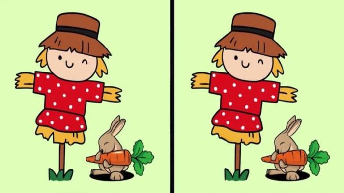 Beyin yakan test: İki resim arasındaki 3 farkı bulan çok az